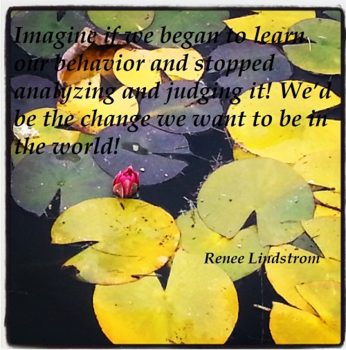 Behavior change - lily