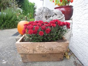 Importance of our Front Door 