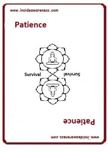 getting InTouch - Value - Patience