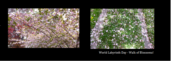 Walking of Blossom, World Labyrinth Day ~ Victoria