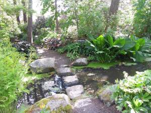 Finnerty Gardens 008