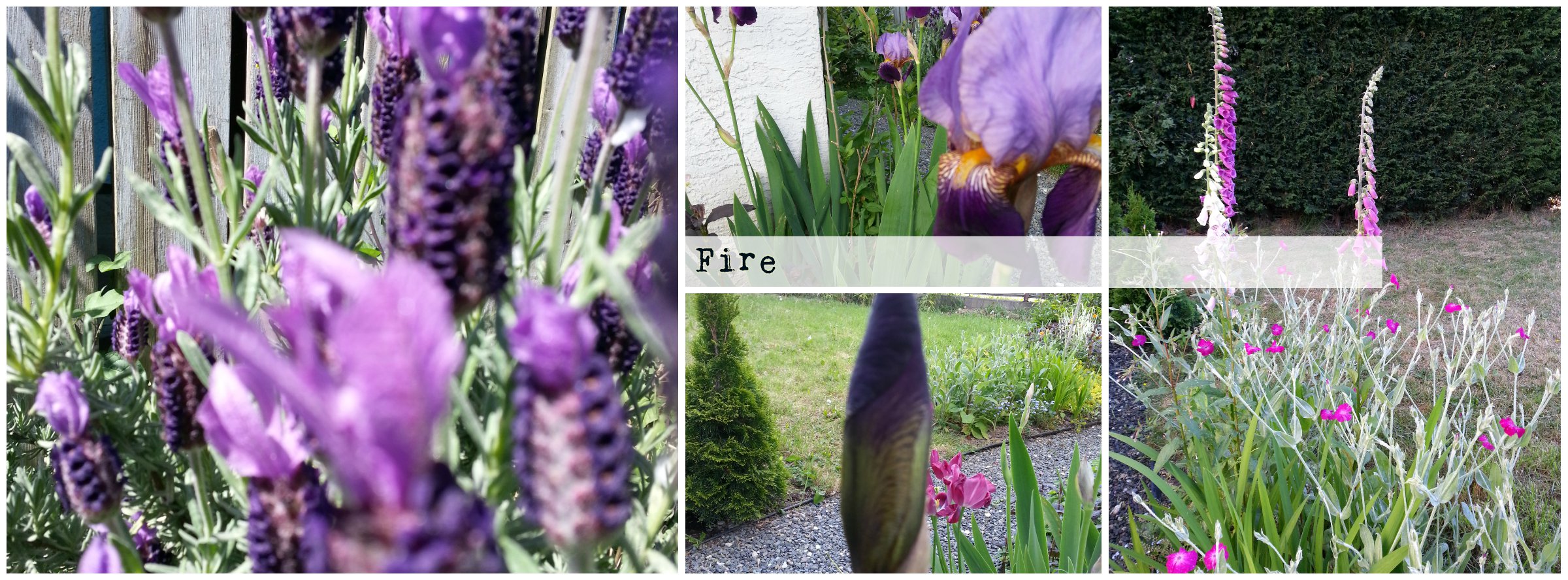 BeFunky Collage - Fire