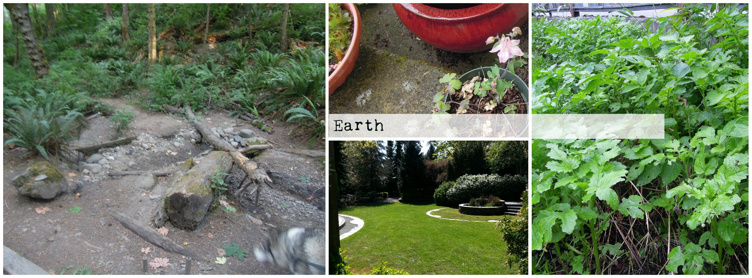 BeFunky Collage Earth