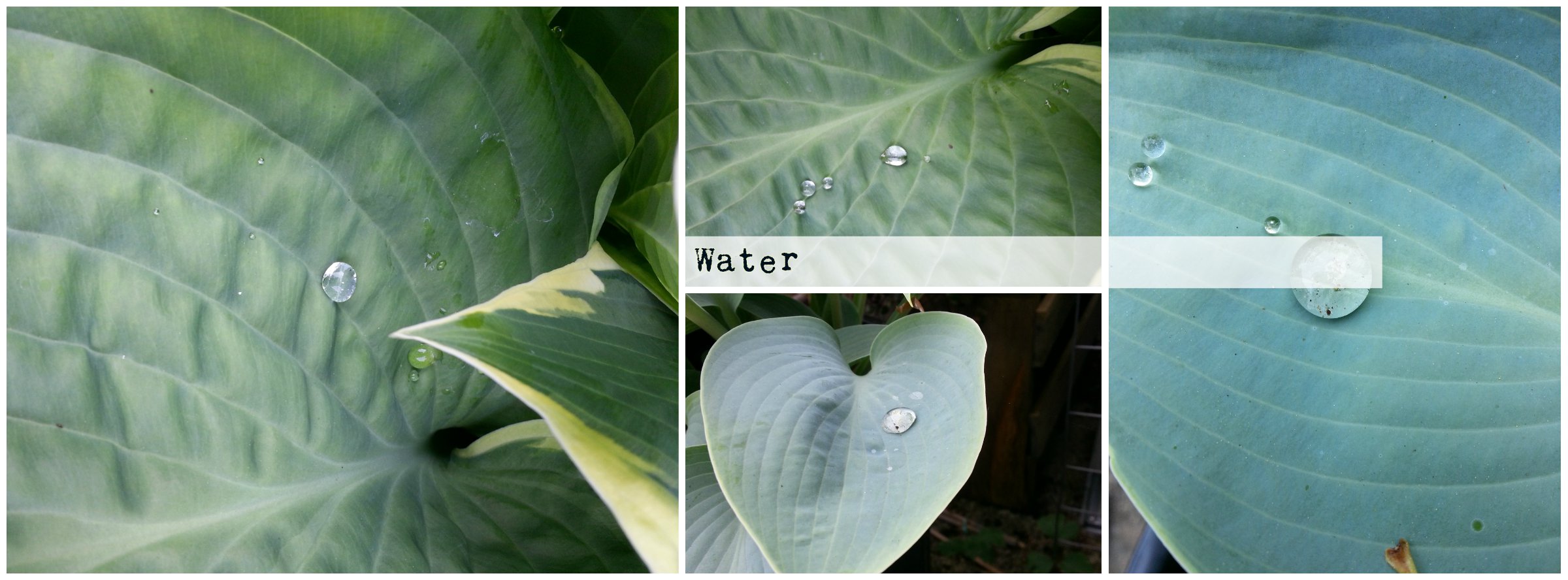 BeFunky Collage - Water 2