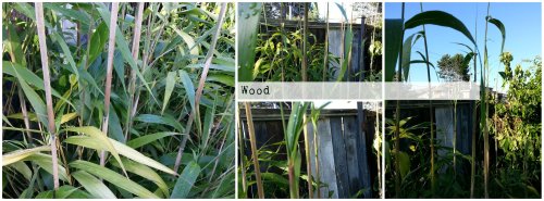 BeFunky Collage Wood 2