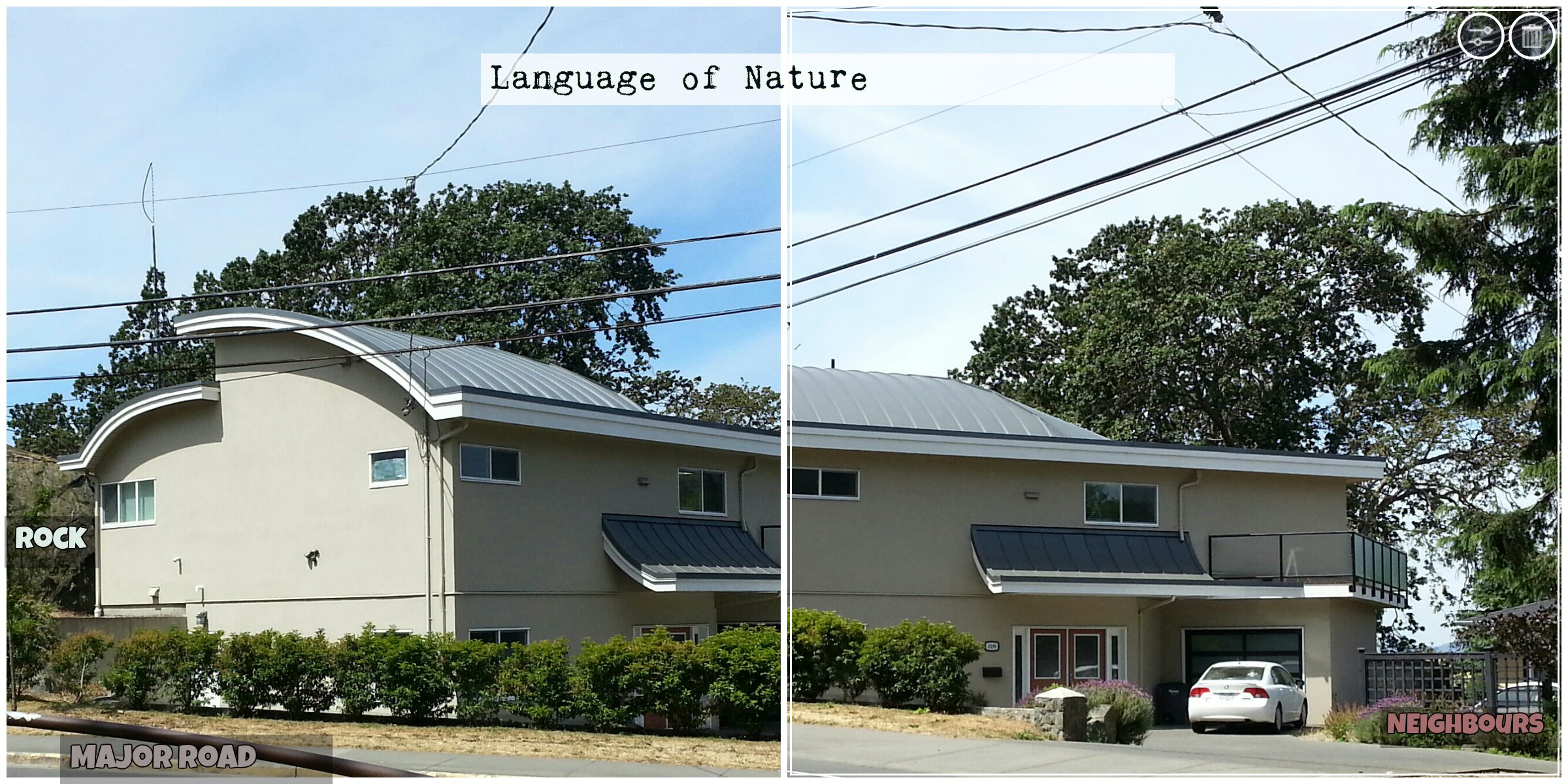 BeFunky Collage Language of Nature - Metal-Rock