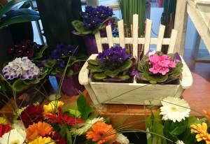 2016-03-26 10.02.35-1