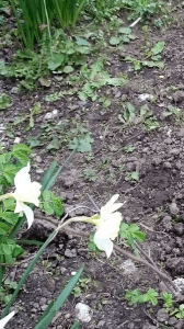 Screenshot_2016-03-19-13-26-12