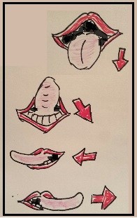 Jaw & Tongue by Renee Lindstrom